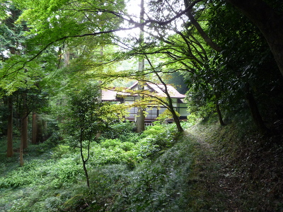 No.3 P1060347.JPG