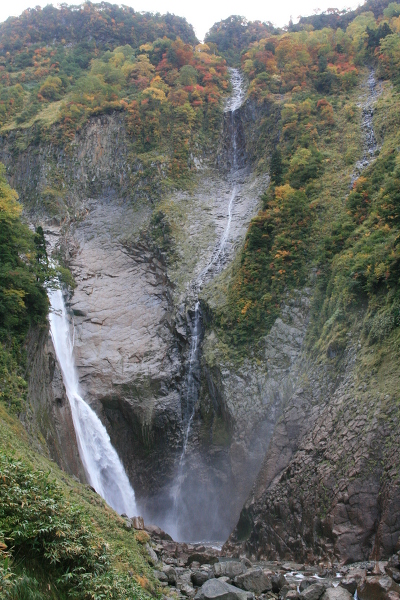 ハンノキ滝の主写真 0087-023.jpg