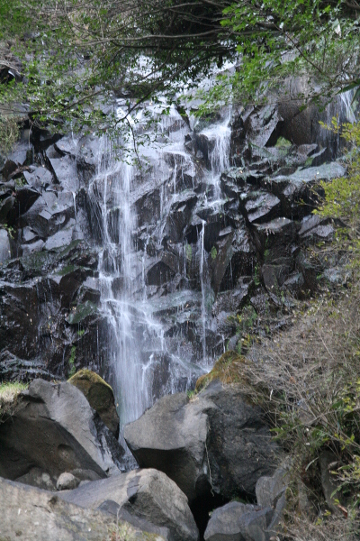 飛竜の滝の主写真 0094-017.jpg